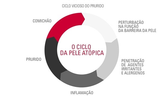 o ciclo da pele atopica