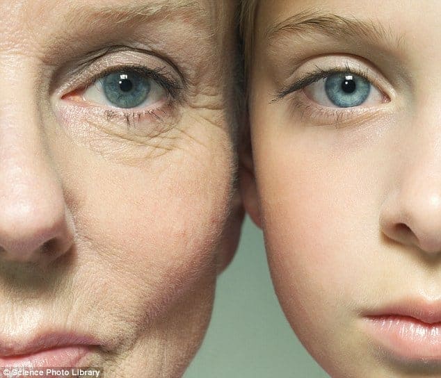 envelhecimento pele como prevenir e face