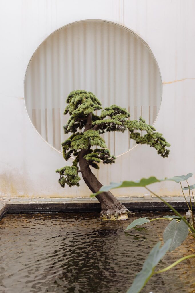Jardim interno da Clínica Dra. Juliana Toma no Jardim Paulista
